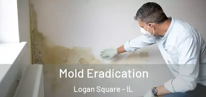  Mold Eradication Logan Square - IL