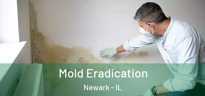  Mold Eradication Newark - IL