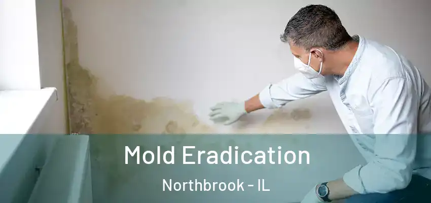  Mold Eradication Northbrook - IL