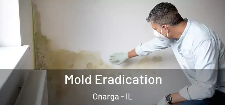  Mold Eradication Onarga - IL