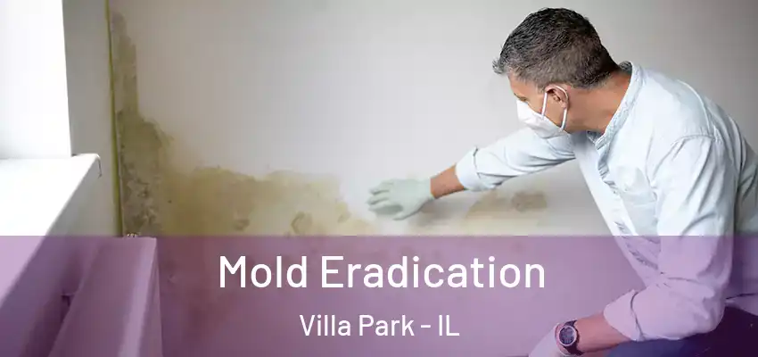 Mold Eradication Villa Park - IL