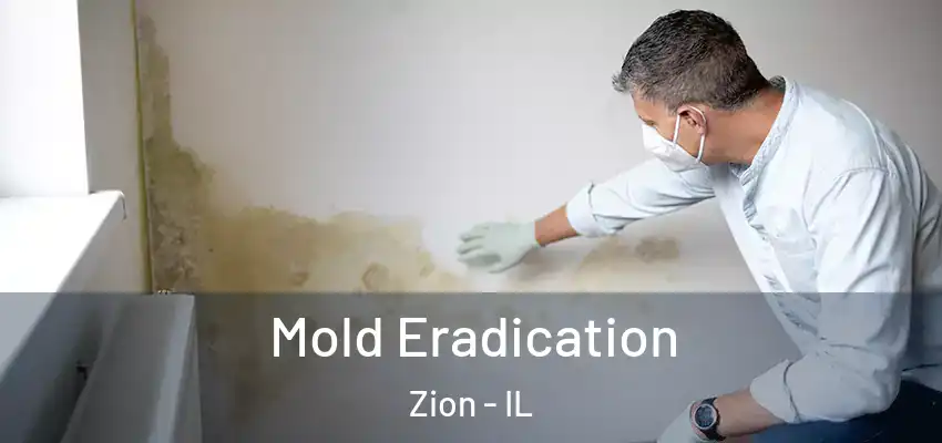 Mold Eradication Zion - IL
