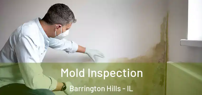 Mold Inspection Barrington Hills - IL