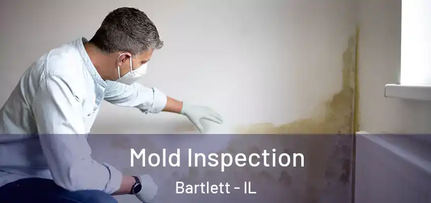 Mold Inspection Bartlett - IL