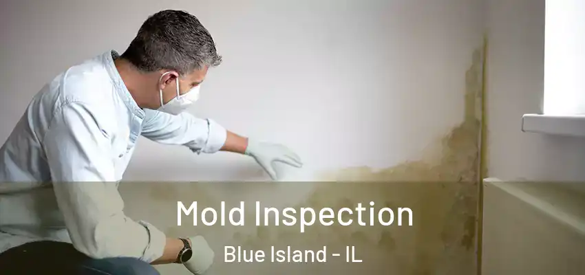 Mold Inspection Blue Island - IL