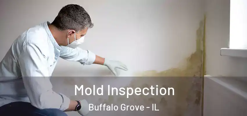  Mold Inspection Buffalo Grove - IL