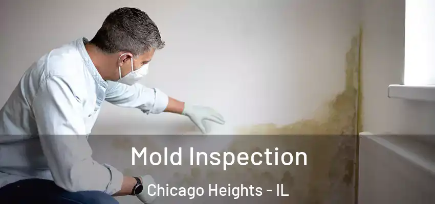  Mold Inspection Chicago Heights - IL