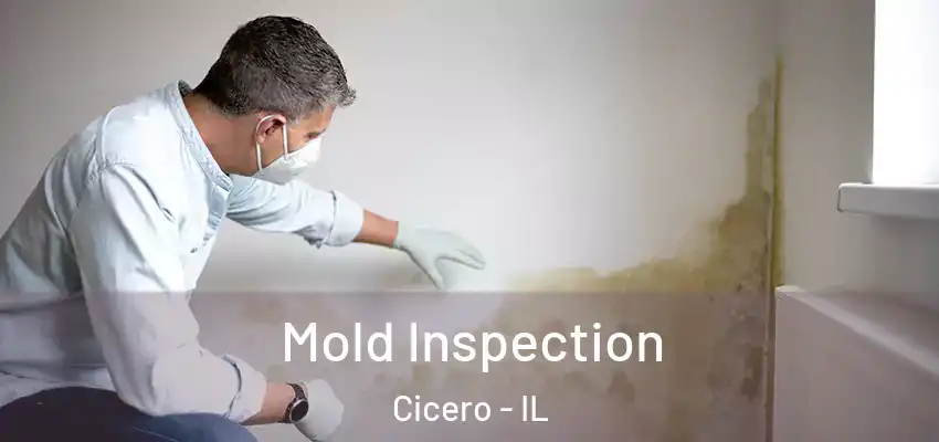 Mold Inspection Cicero - IL