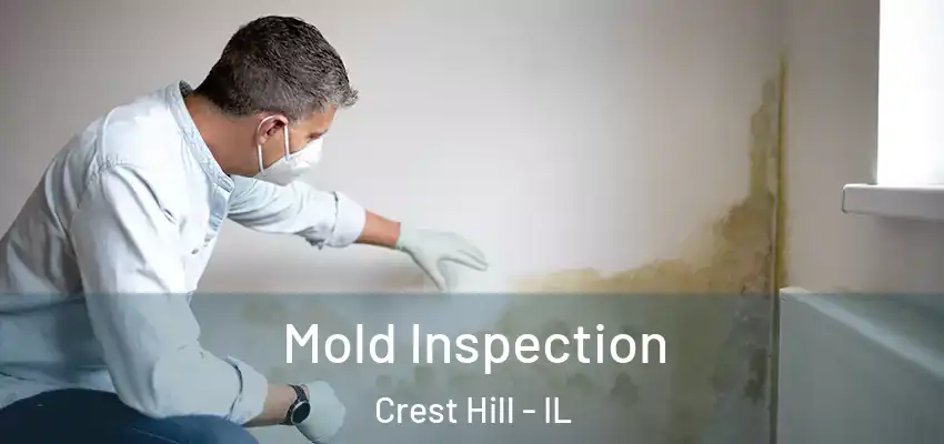 Mold Inspection Crest Hill - IL