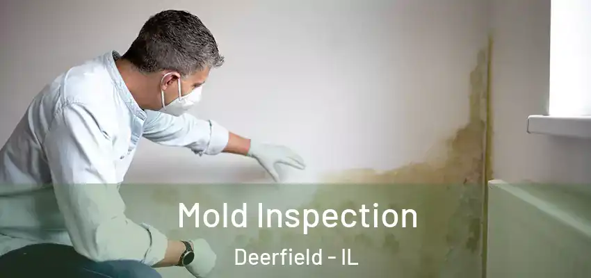 Mold Inspection Deerfield - IL