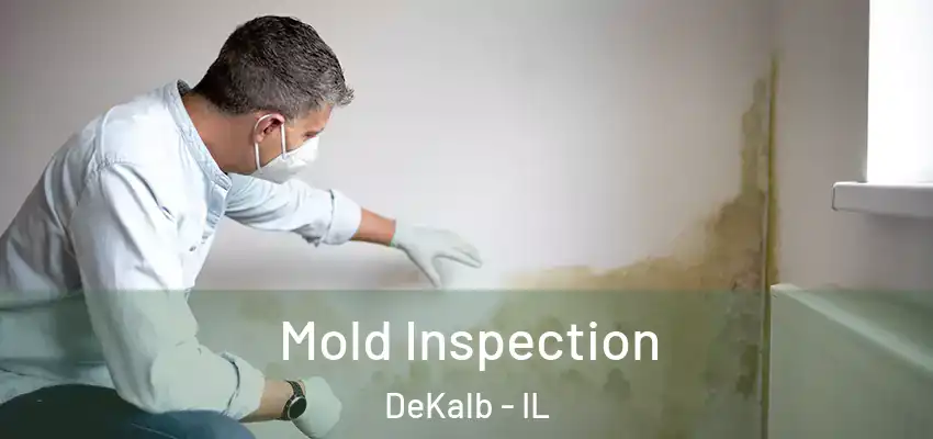Mold Inspection DeKalb - IL