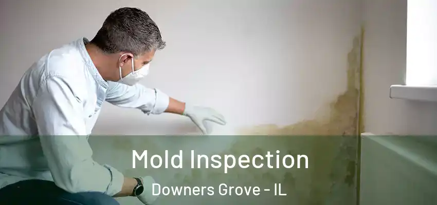 Mold Inspection Downers Grove - IL