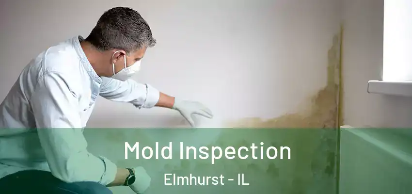 Mold Inspection Elmhurst - IL