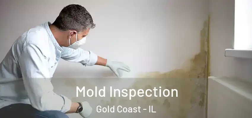  Mold Inspection Gold Coast - IL