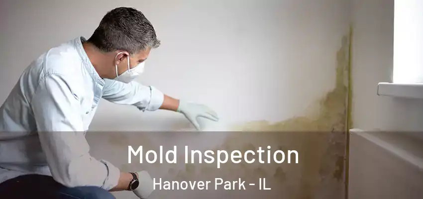 Mold Inspection Hanover Park - IL