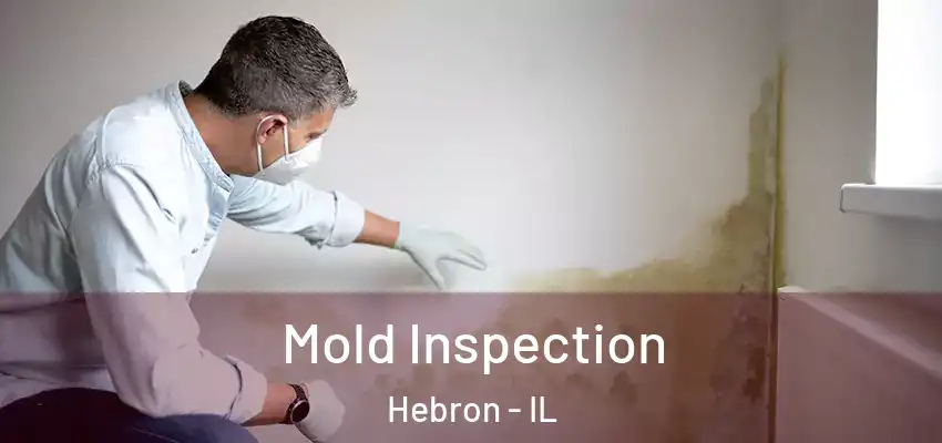 Mold Inspection Hebron - IL