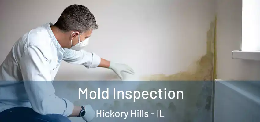 Mold Inspection Hickory Hills - IL