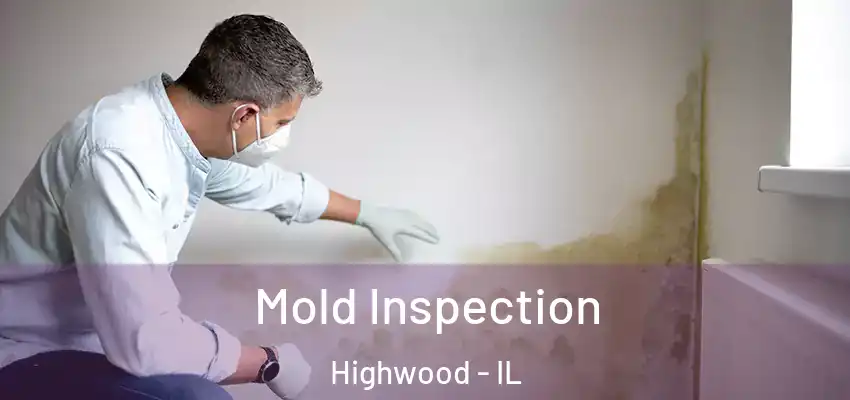 Mold Inspection Highwood - IL
