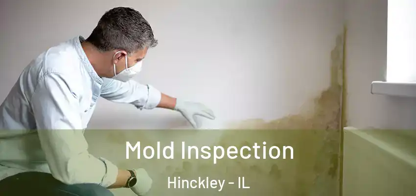 Mold Inspection Hinckley - IL
