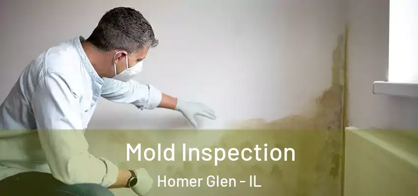 Mold Inspection Homer Glen - IL