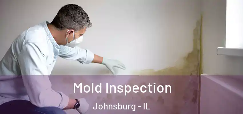 Mold Inspection Johnsburg - IL