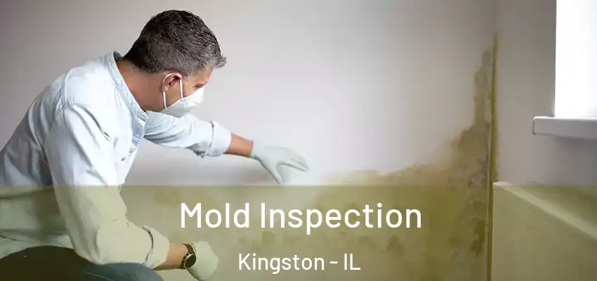 Mold Inspection Kingston - IL