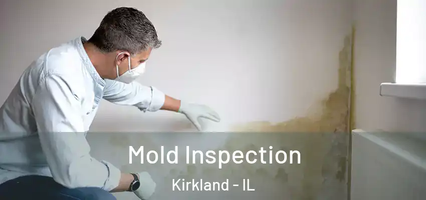  Mold Inspection Kirkland - IL