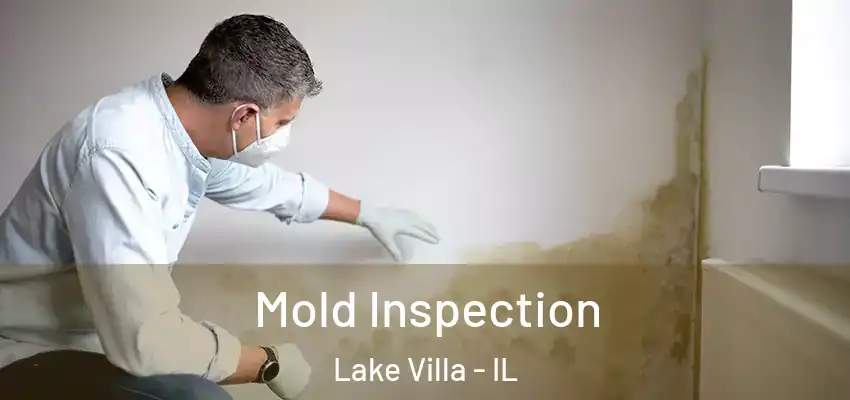  Mold Inspection Lake Villa - IL