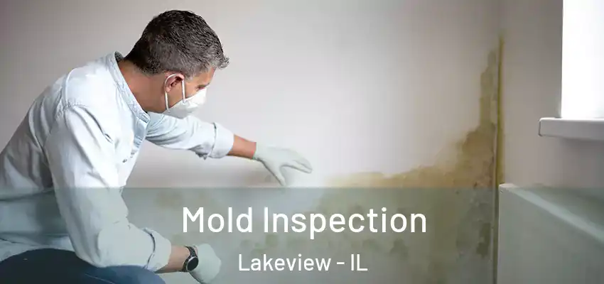 Mold Inspection Lakeview - IL