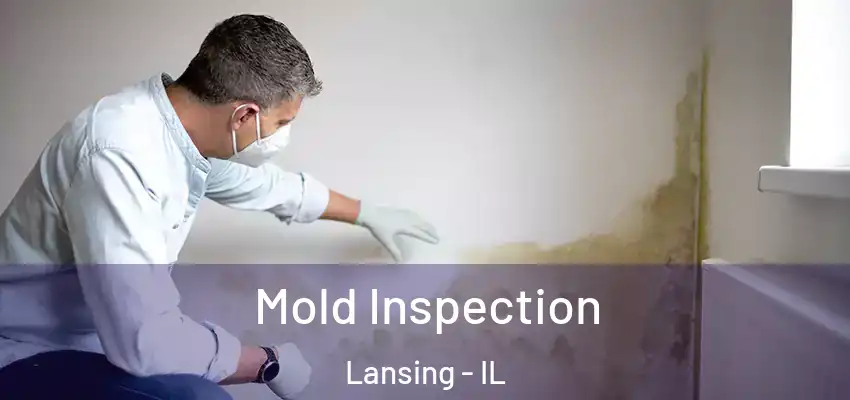 Mold Inspection Lansing - IL