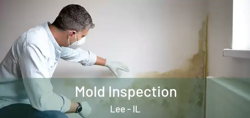 Mold Inspection Lee - IL