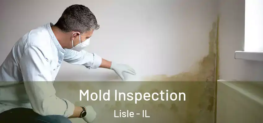 Mold Inspection Lisle - IL