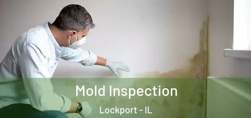 Mold Inspection Lockport - IL