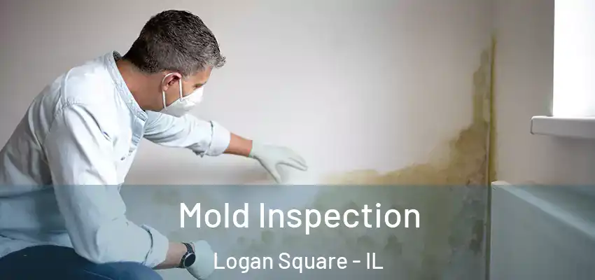 Mold Inspection Logan Square - IL