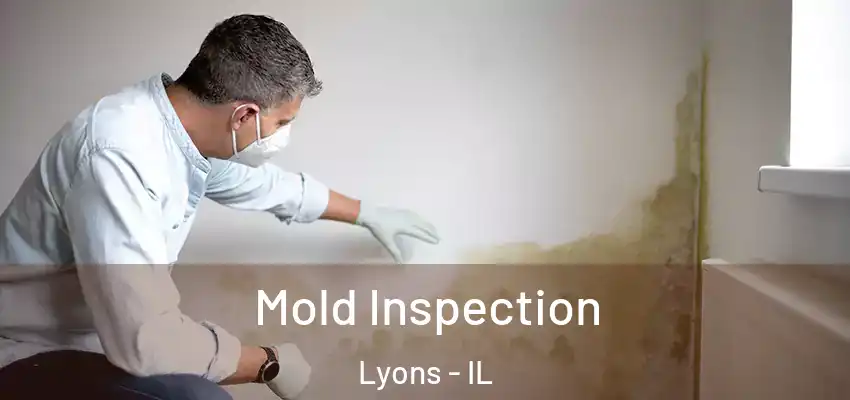  Mold Inspection Lyons - IL