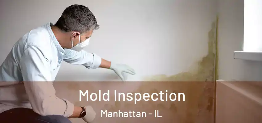Mold Inspection Manhattan - IL