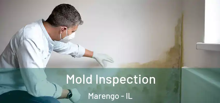 Mold Inspection Marengo - IL