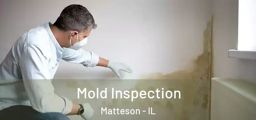 Mold Inspection Matteson - IL