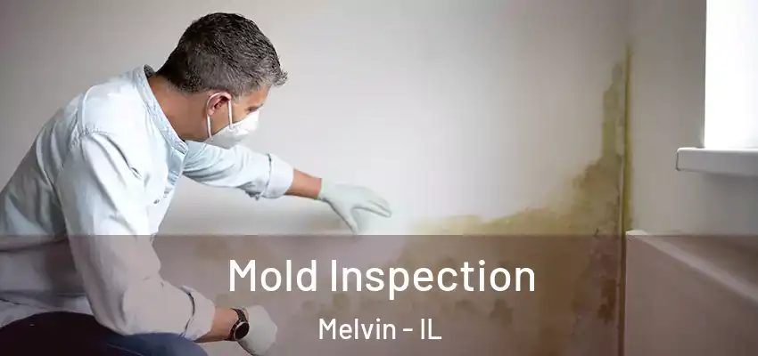 Mold Inspection Melvin - IL
