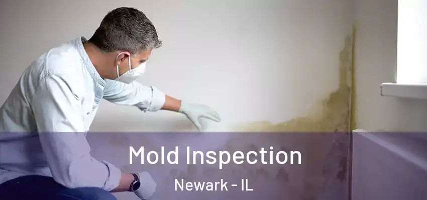 Mold Inspection Newark - IL