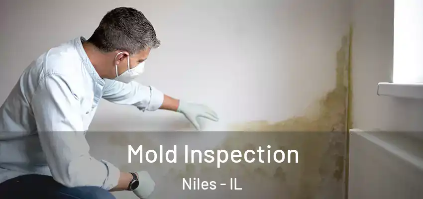 Mold Inspection Niles - IL