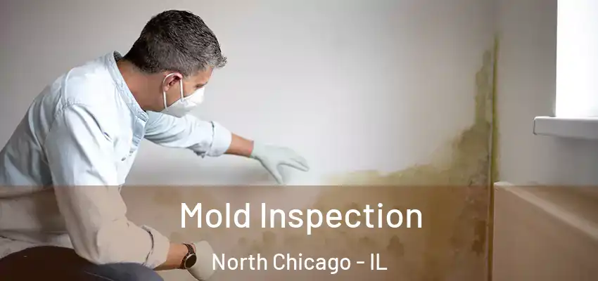 Mold Inspection North Chicago - IL