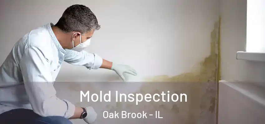 Mold Inspection Oak Brook - IL
