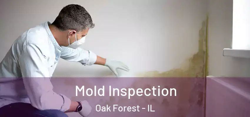 Mold Inspection Oak Forest - IL