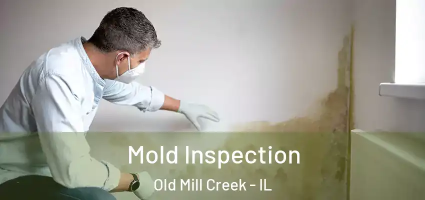  Mold Inspection Old Mill Creek - IL