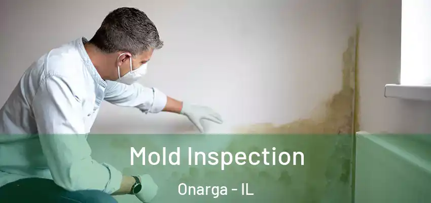  Mold Inspection Onarga - IL