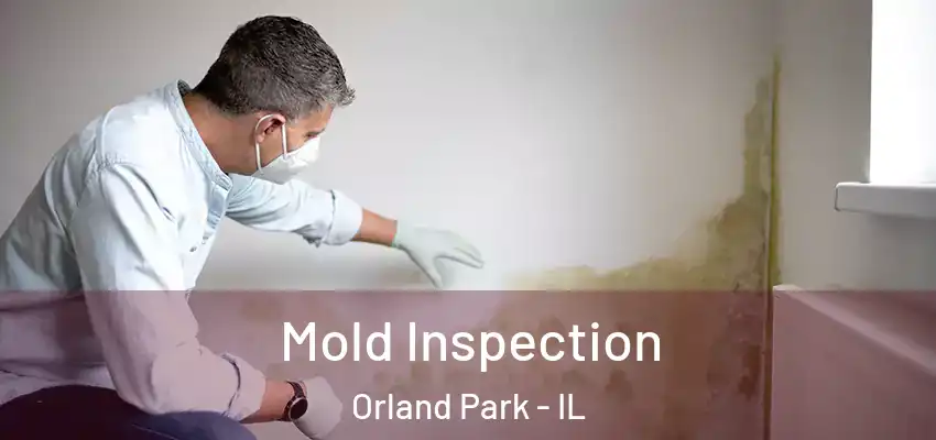Mold Inspection Orland Park - IL