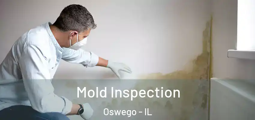 Mold Inspection Oswego - IL