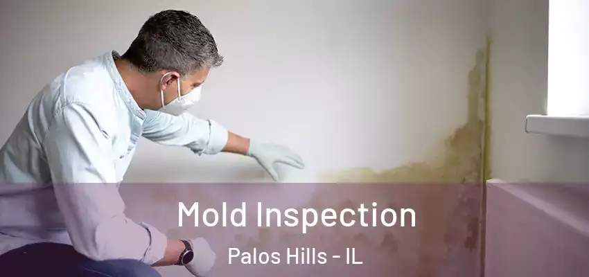 Mold Inspection Palos Hills - IL