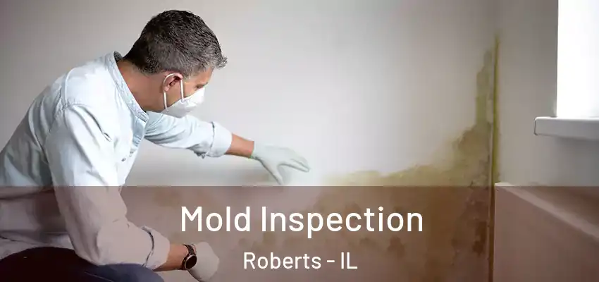  Mold Inspection Roberts - IL
